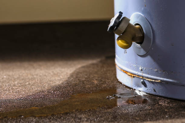 Best Mold removal after water damage  in Richville, OH