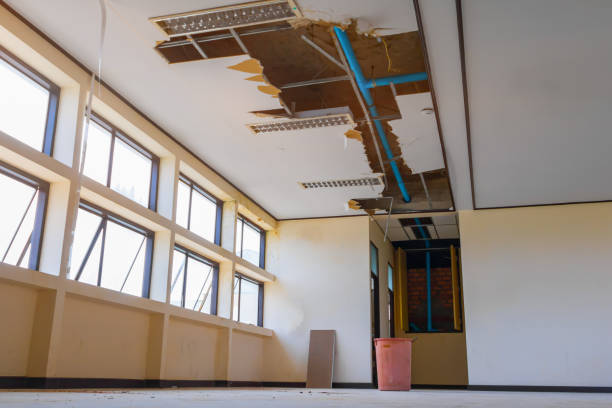 Best Water damage restoration cost  in Richville, OH
