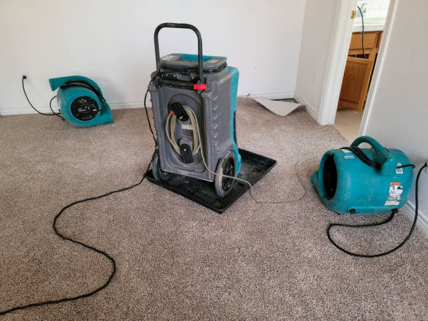 Best 24/7 water damage repair  in Richville, OH