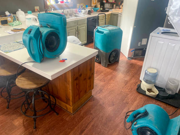 Best Local water damage restoration  in Richville, OH