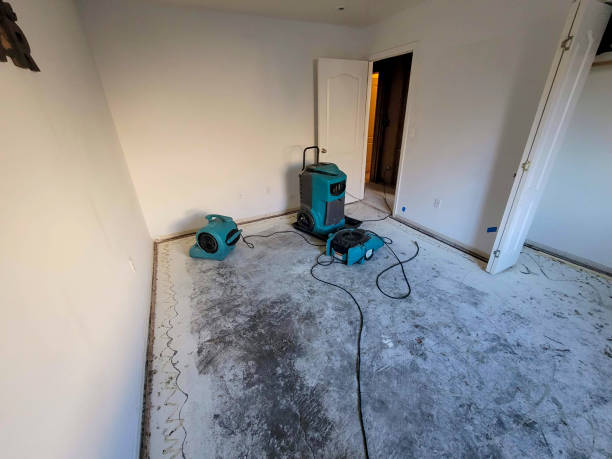 Reliable OH Water damage restoration Solutions