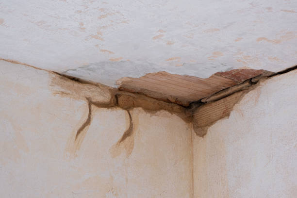 Best Professional water damage repair  in Richville, OH
