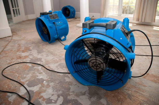 Best Water damage restoration mold remediation  in Richville, OH