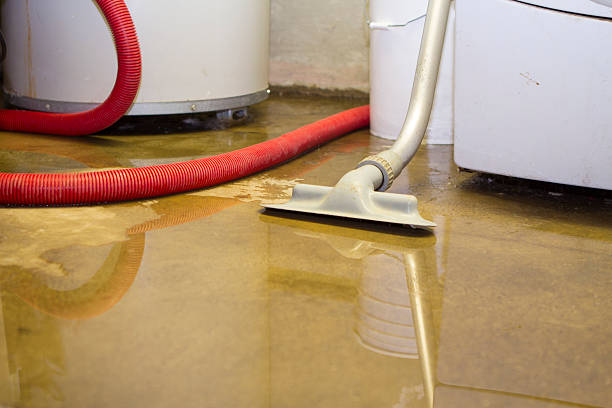 Best Sewage cleanup and water damage restoration  in Richville, OH