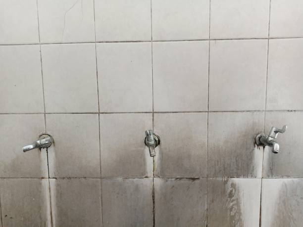 Best Water damage restoration near me  in Richville, OH