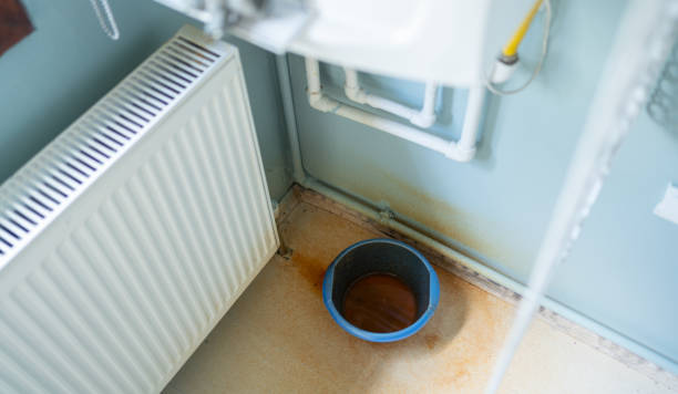 Best Flooded house restoration  in Richville, OH